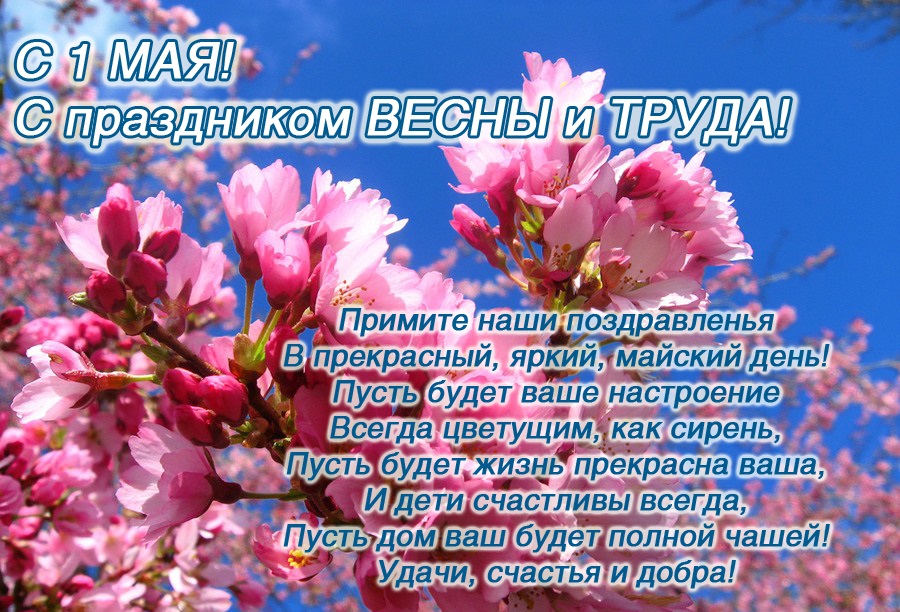ce2b00abcb0792491992bb2aedcc01fd.jpg