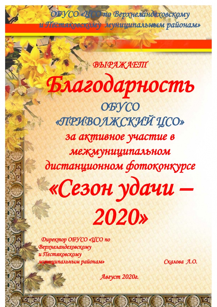 благодарность-ЦСО.jpg