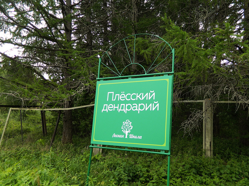 6475_original.jpg