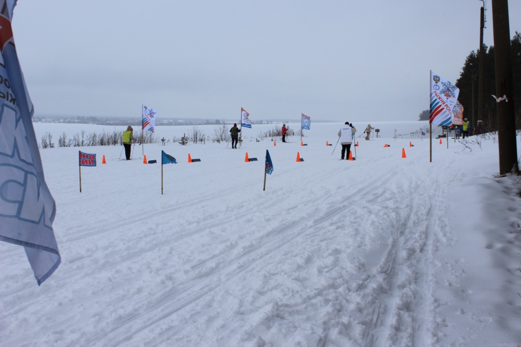 IMG_9915.JPG