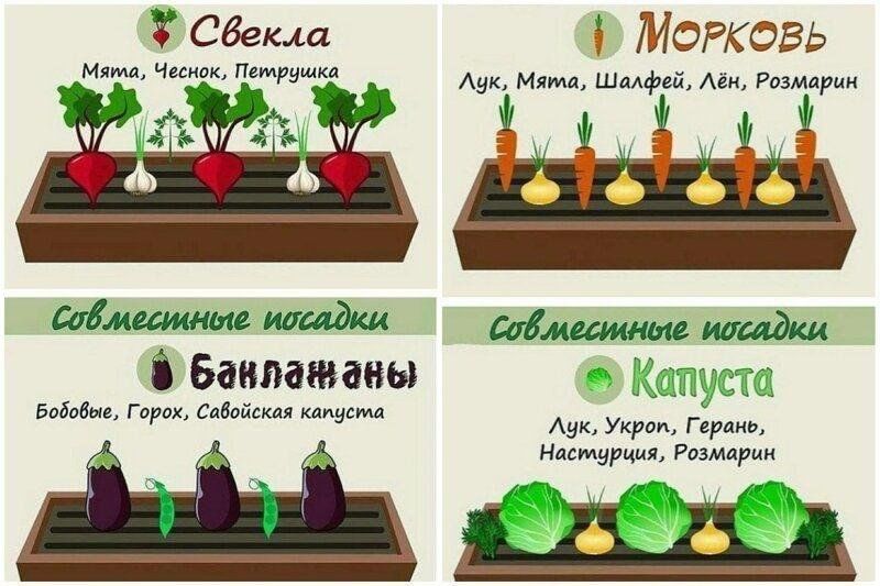 советы.jpg
